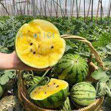 Сħ