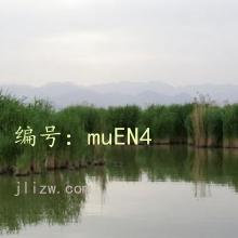ȫ